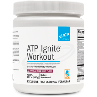 ATP Ignite Workout Mixed Berry (30 Servings)-Vitamins & Supplements-Xymogen-Pine Street Clinic