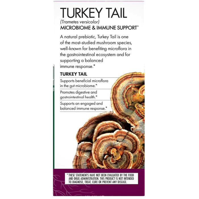 Turkey Tail-Vitamins & Supplements-Host Defense-60 Capsules-Pine Street Clinic