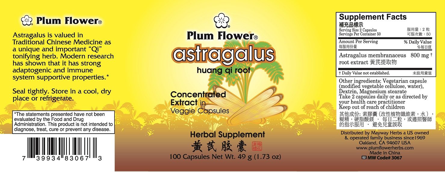 Astragalus (Huang Qi) Capsules (100 Capsules)-Chinese Formulas-Plum Flower-Pine Street Clinic