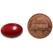 CoQsol - 100 mg (30 Softgels)