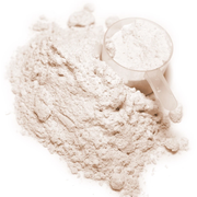 Arabinogalactan Powder (100 11 cc Scoop)
