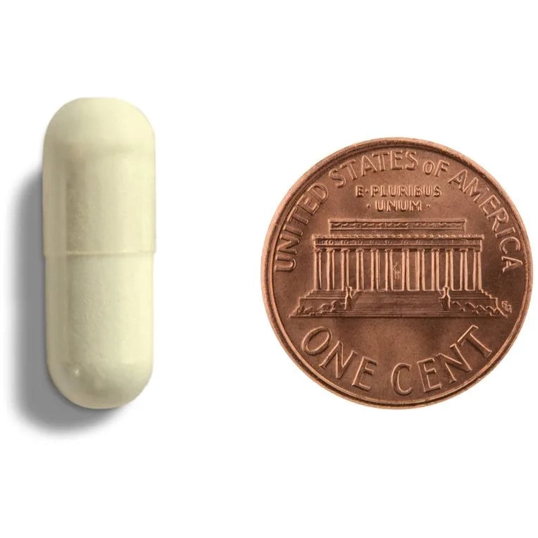 Daily Best Prenatal (60 Capsules)