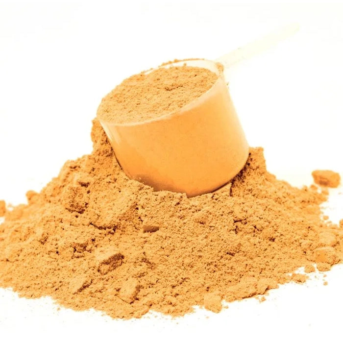 Fizzy Mag (516 Grams Powder)