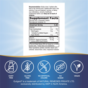 DGL Fructose Free (100 Tablets) — Supplement Facts