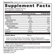 Whey Protein Powder - Milk Chocolate (646 g)