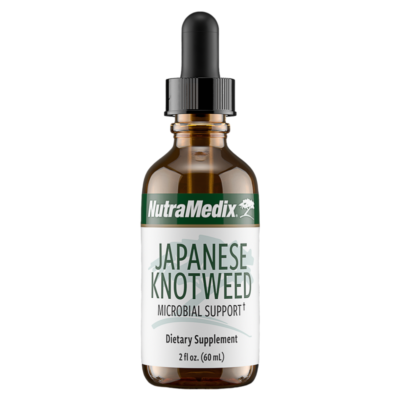 Japanese Knotweed (2 oz)