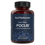 Lion's Mane FOCUS (90 Capsules)