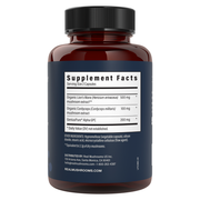 Lion's Mane FOCUS (90 Capsules)
