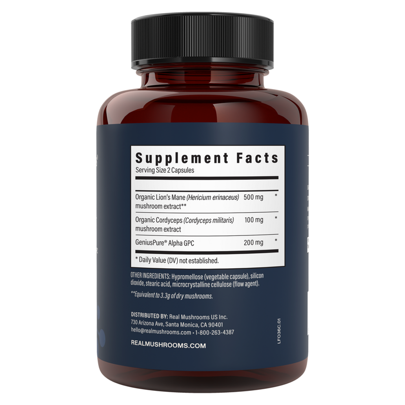 Lion's Mane FOCUS (90 Capsules)