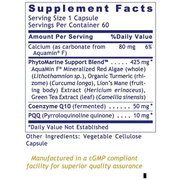 PQQ Complex with CoQ10 (60 Capsules)