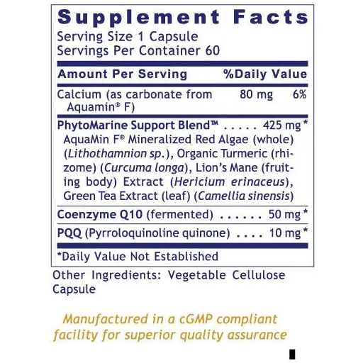 PQQ Complex with CoQ10 (60 Capsules)