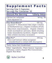 ImmunoVen (90 Capsules)