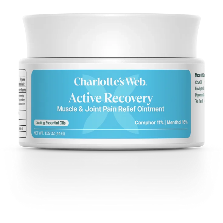 Active Recovery Muscle & Joint Pain Relief