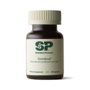 Ferrofood®, 40 Capsules