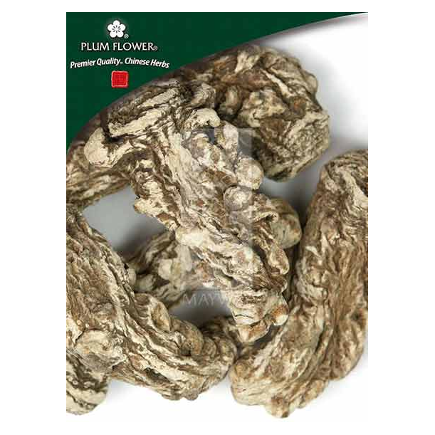Dang Gui Tou (large), unsulfured