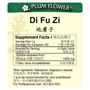 Di Fu Zi extract granule