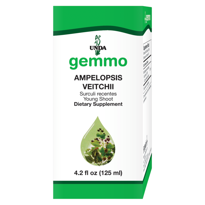Ampelopsis Veitchii (125 ml)