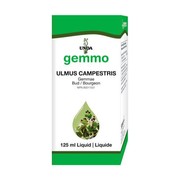 Ulmus Campestris (125 ml)