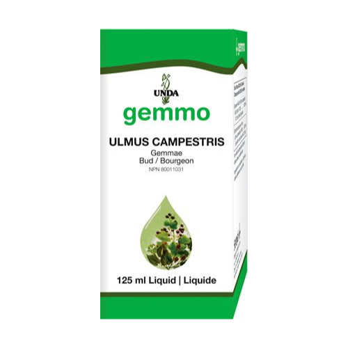 Ulmus Campestris (125 ml)