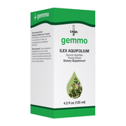 Ilex Aquifolium (125 ml)