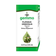 Platanus Orientalis (125 ml)