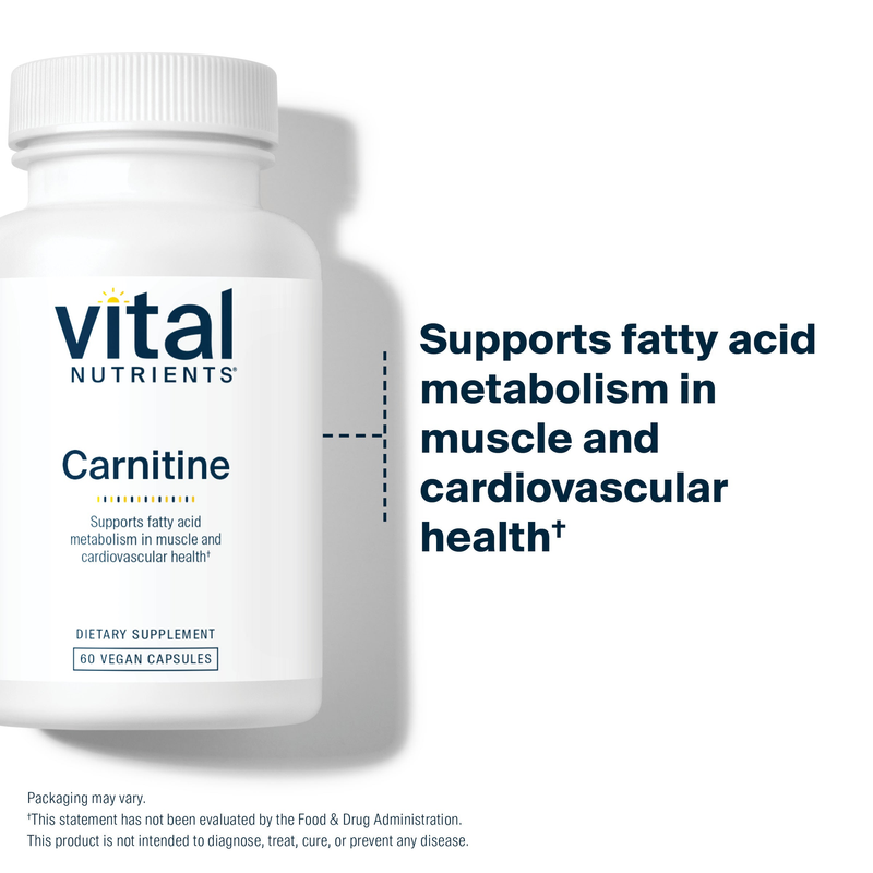 Carnitine 500 mg (60 Capsules)