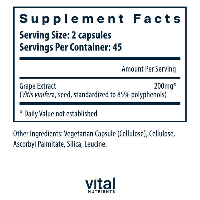 Grape Seed Extract 100 mg (90 Capsules)