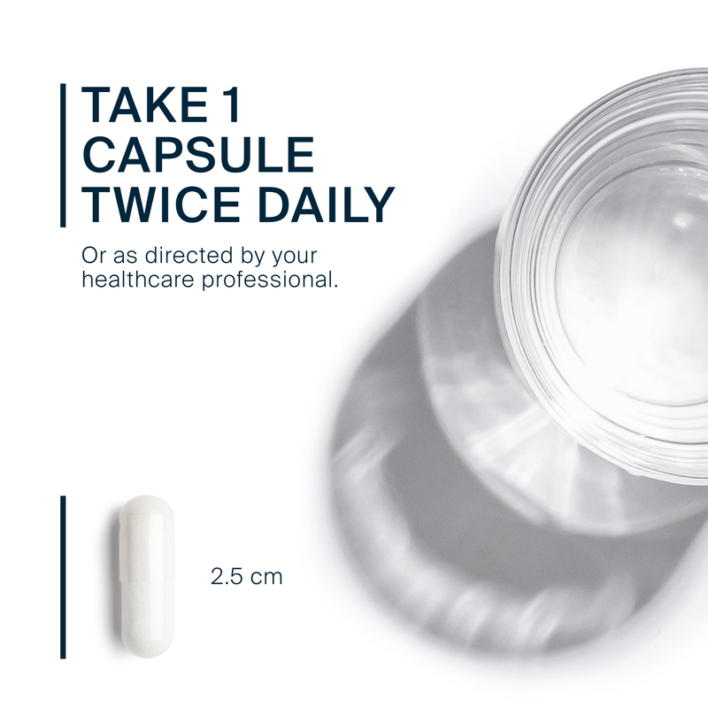 MSM 1000 mg (240 Capsules)