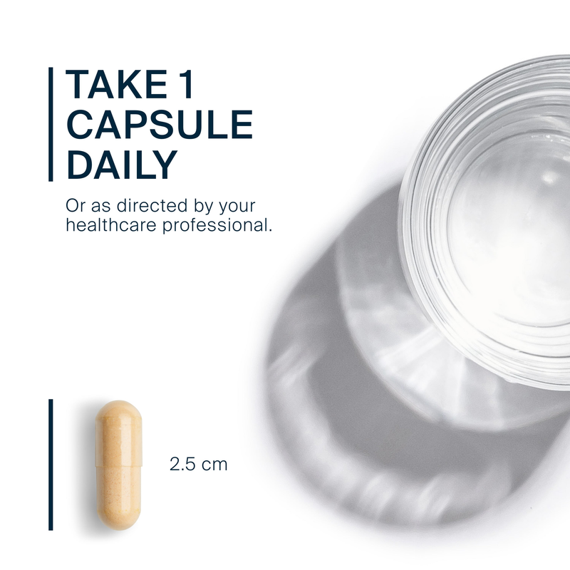 B6 + B Complex (60 Capsules)