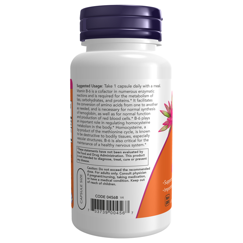 B-6 100mg (100 Capsules) - label information