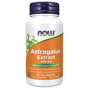 Astragalus Extract 500mg (90 Capsules)