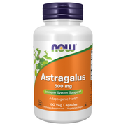 Astragalus 500mg (100 Capsules)