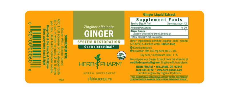 Ginger Liquid Extract (Zingiber officinale)