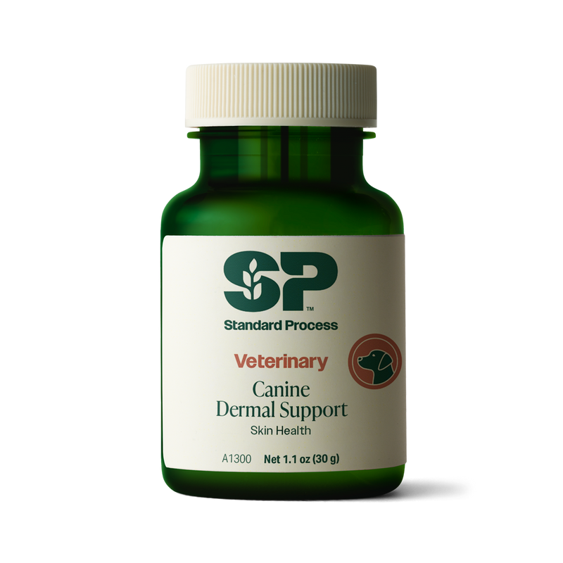 Canine Dermal Support, 30 g