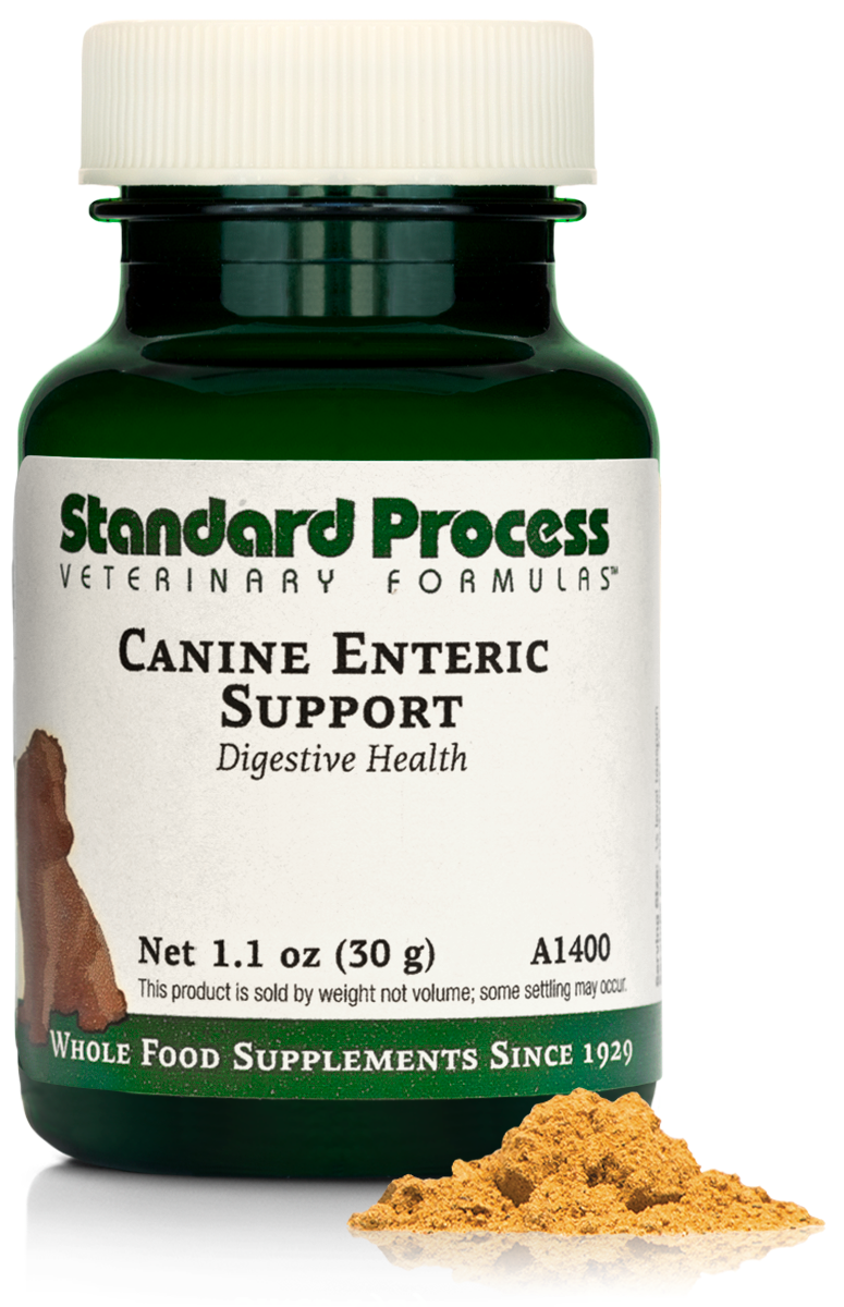 Canine Enteric Support, 1.1 oz (30 g)