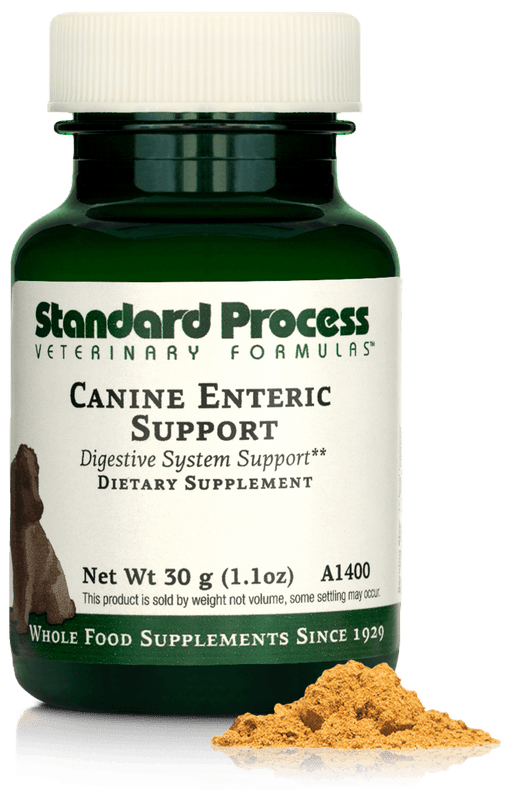 Canine Enteric Support, 1.1 oz (30 g)