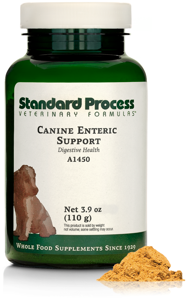 Canine Enteric Support, 3.9 oz (110 g)