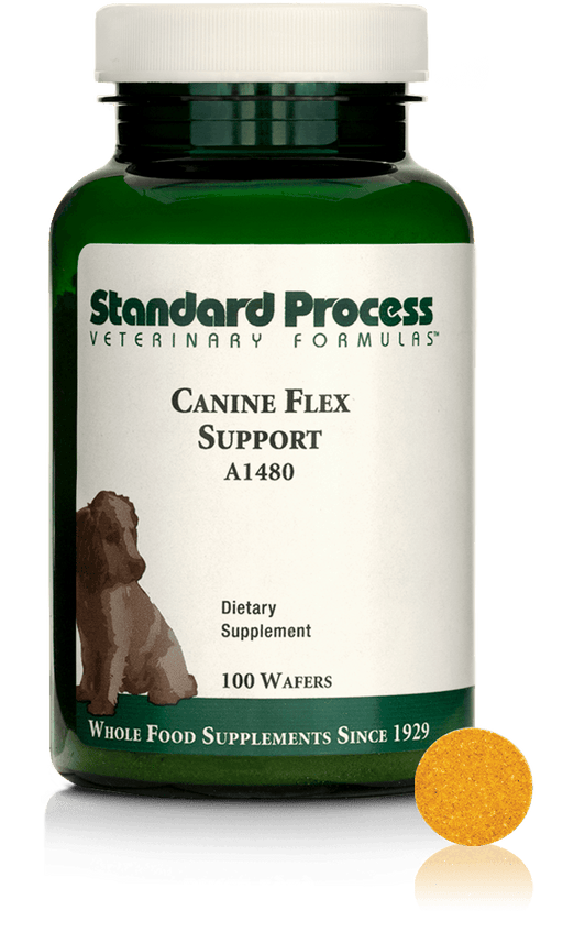 Standard Process Inc - Canine Flex Support, 100 Wafers - 