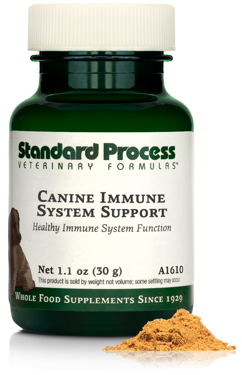 Canine Immune System Support, 1.1 oz (30 g)