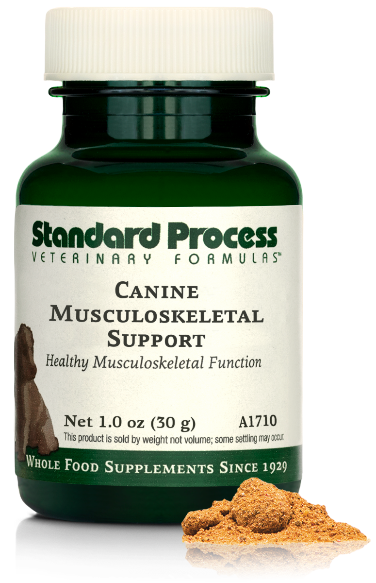 Canine Musculoskeletal Support, 1 oz (30 g)