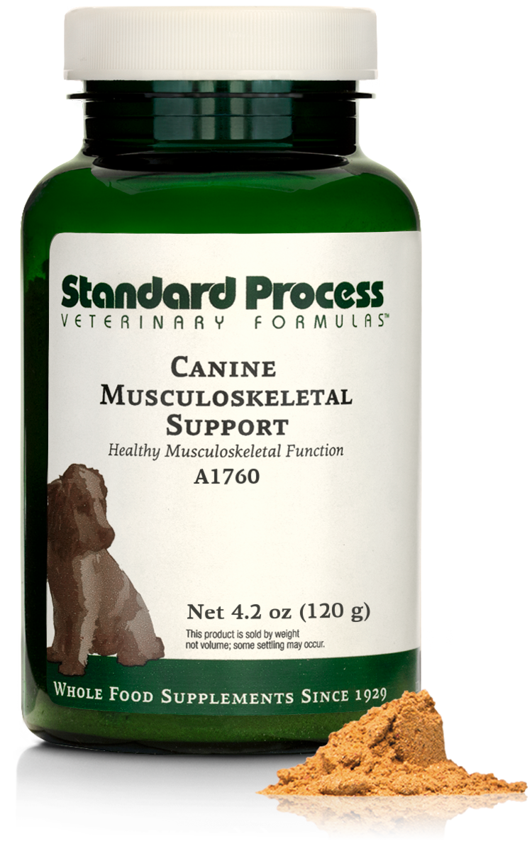 Canine Musculoskeletal Support, 4.2 oz (120 g)