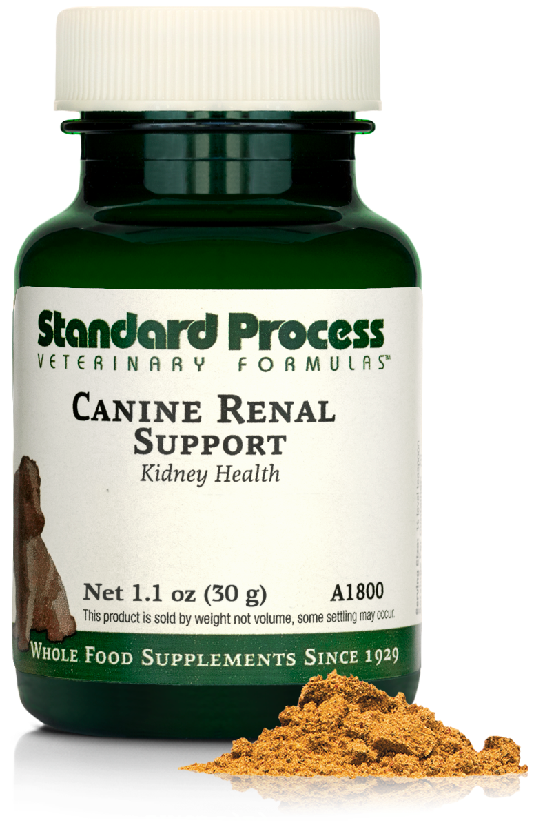 Canine Renal Support, 1.1 oz (30 g)