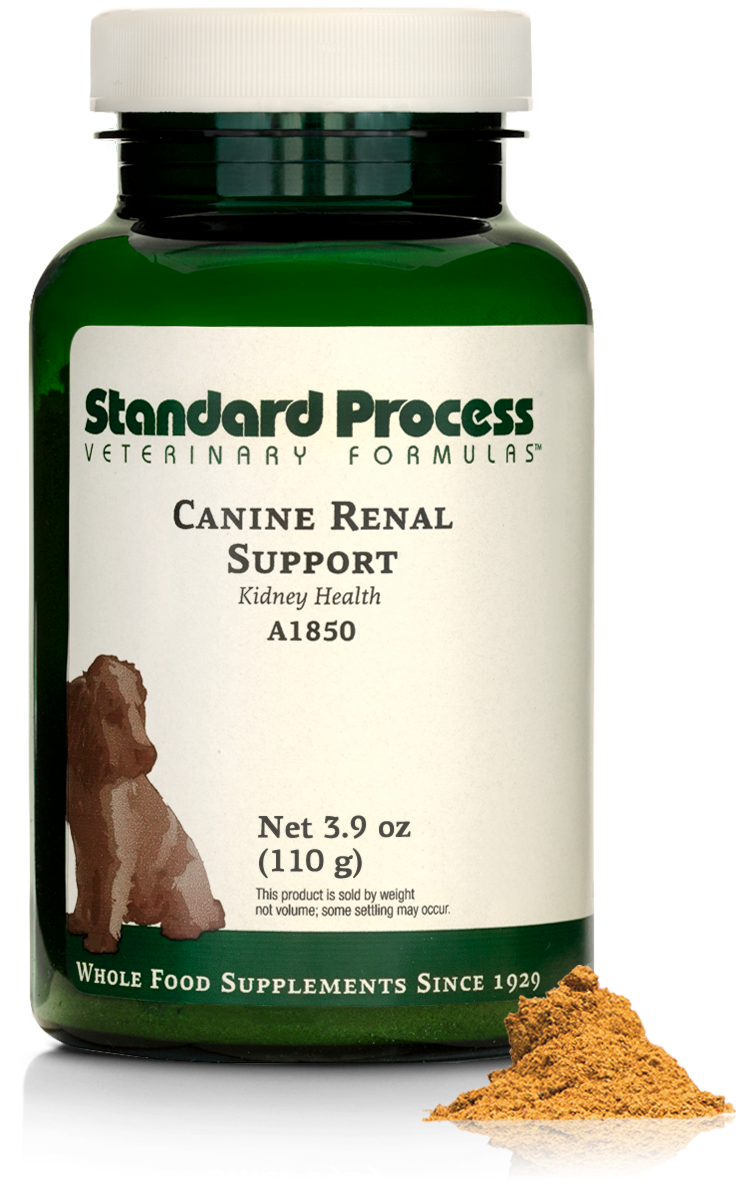 Canine Renal Support, 3.9 oz (110 g)
