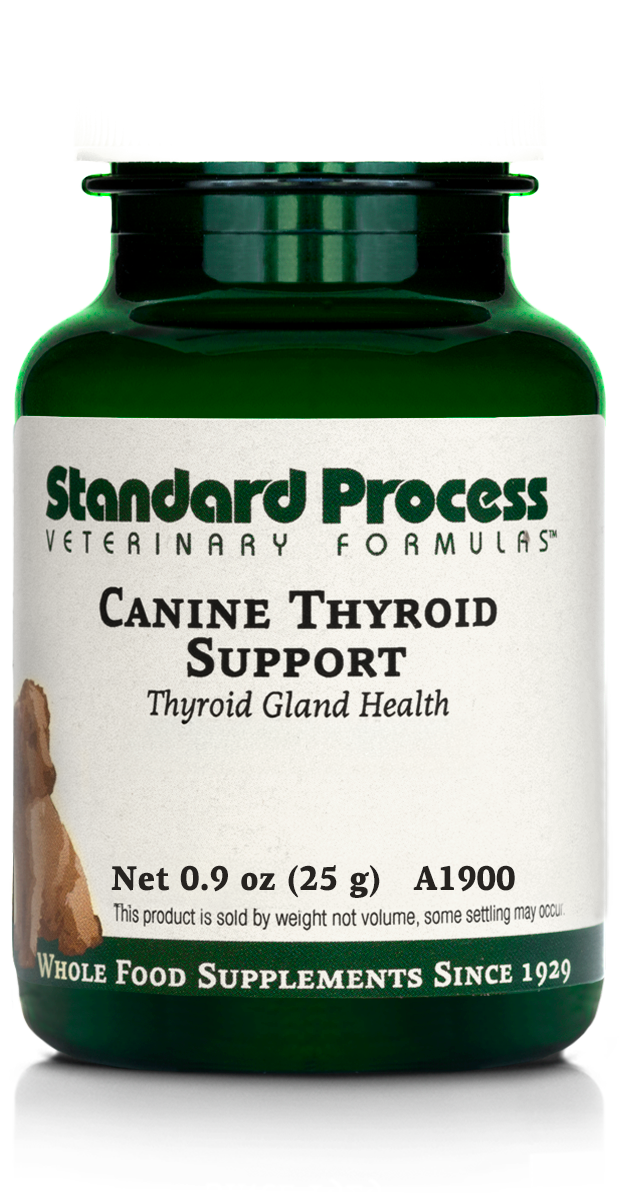 Canine Thyroid Support, 0.9 oz (25 g)