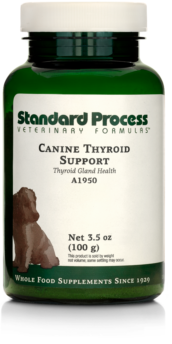 Canine Thyroid Support, 3.5 oz (100 g)