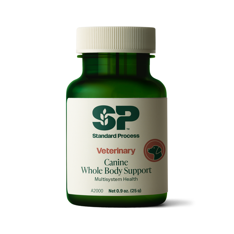 Canine Whole Body Support, 25 g