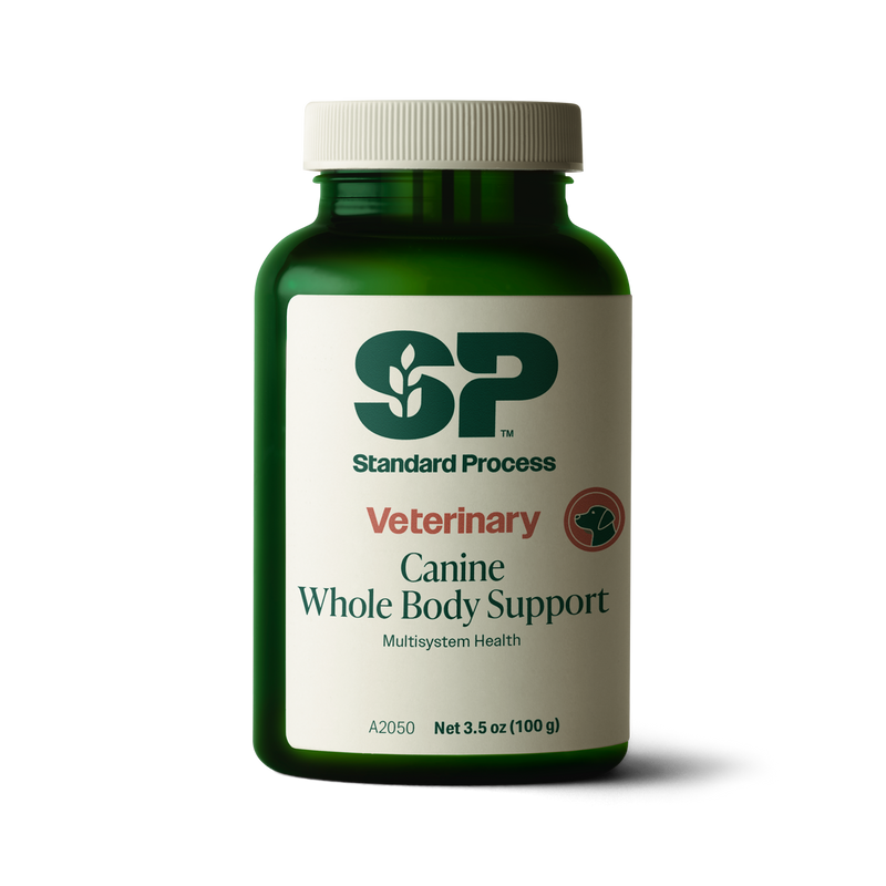 Canine Whole Body Support, 100 g