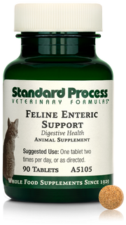 Feline Enteric Support, 90 Tablets