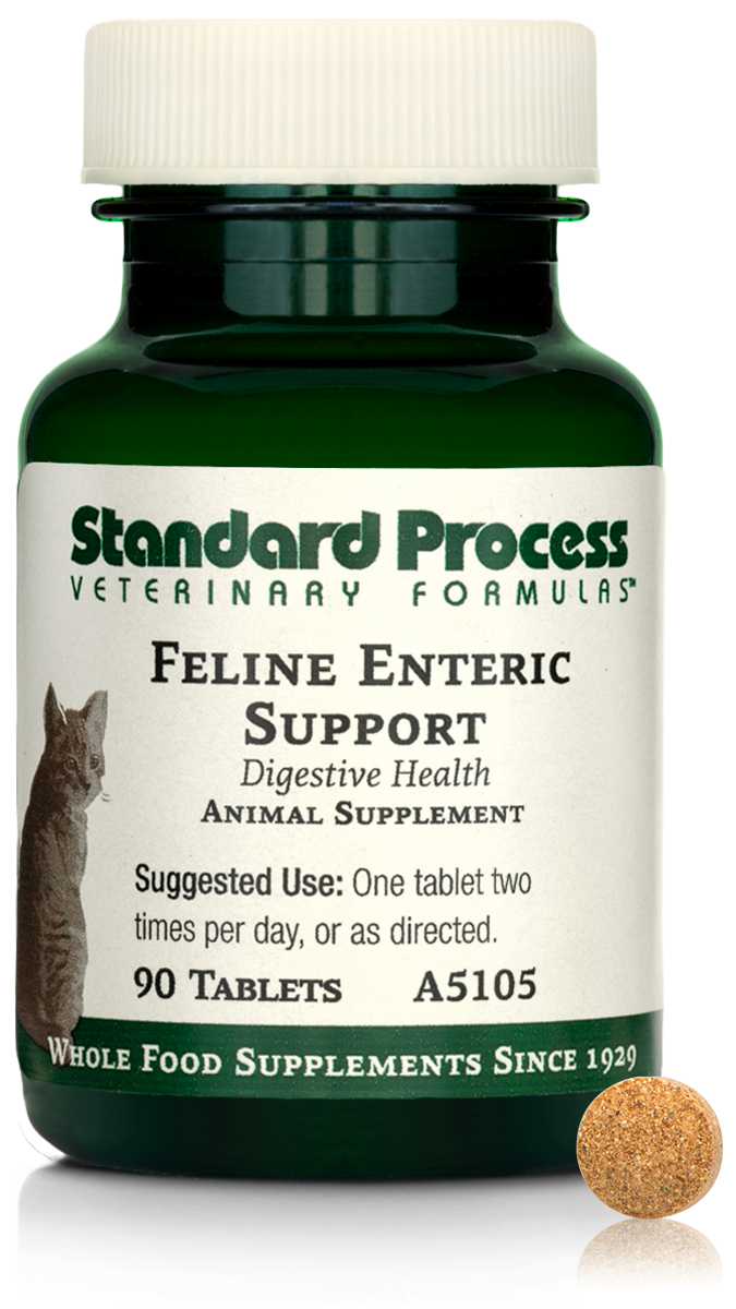 Feline Enteric Support, 90 Tablets