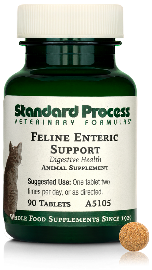 Feline Enteric Support, 90 Tablets